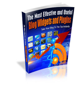Effective and Useful Blog Widgets and Plugins